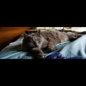 Meet your Posher, Sidney